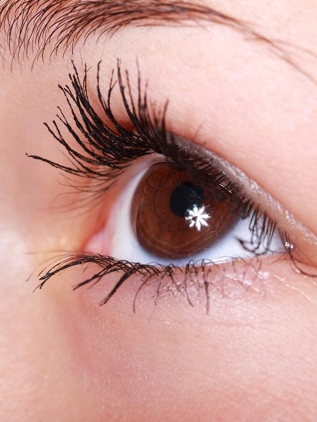 চোখ ভাল রাখতে সপ্তাহে ৩ দিন এই রঙের সবজি খান