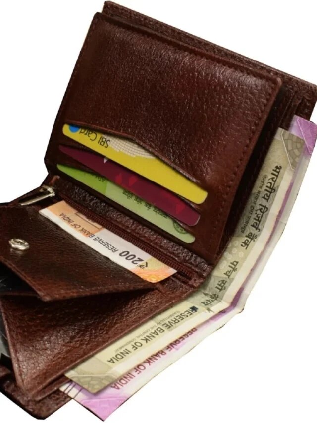 মানিব্যাগে রাখুন এই ১ জিনিস, তাল তাল টাকায় ভরে উঠবে পকেট