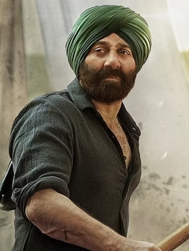 सनी देओल ने किसकी लगाई क्लास? बोले- हिंदुस्तान की समझ नहीं, नीचा दिखा रहे