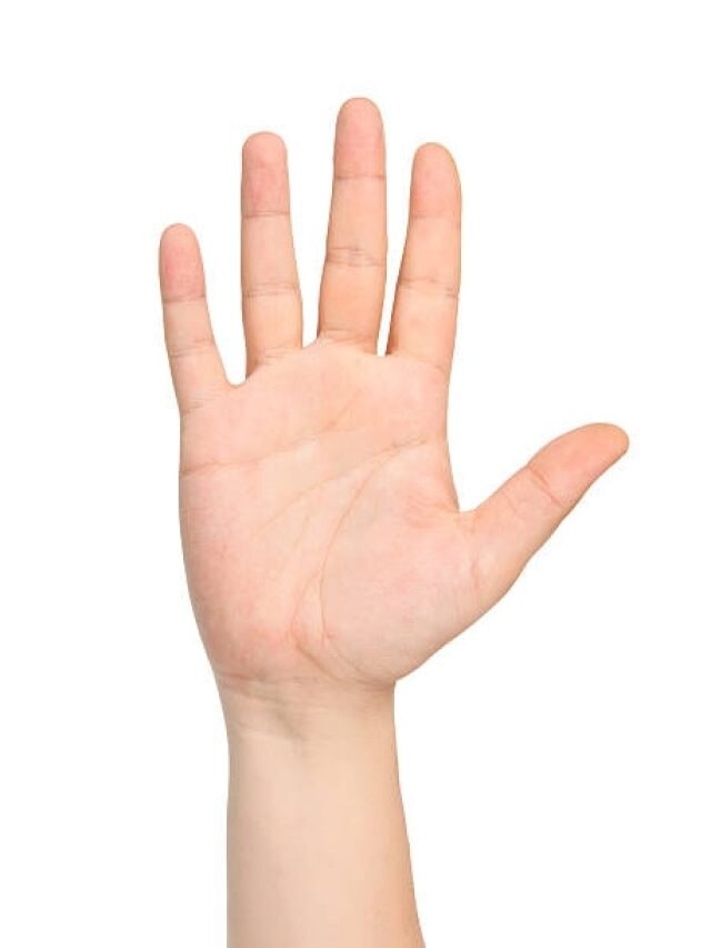 মানুষের হাতের তালু ও পায়ের তলায় চুল নেই, কেন বলুন তো?