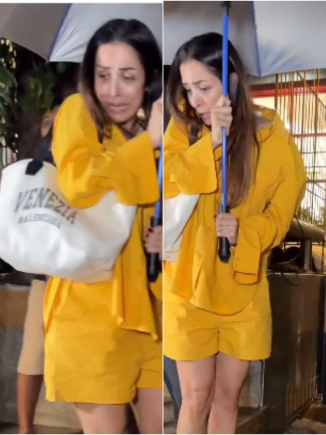 'दीदी डर गई...', अचानक स्टॉल पलटने से चौंकीं मलाइका, हुईं ट्रोल