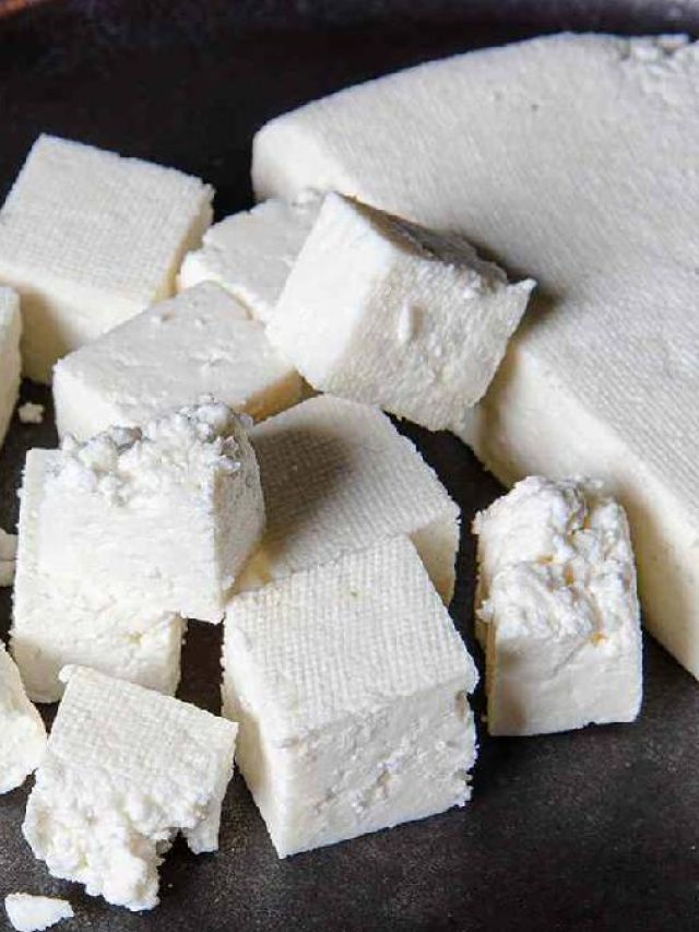 এভাবে পনির রাখলে নষ্ট হবে না, জানুন উপায়