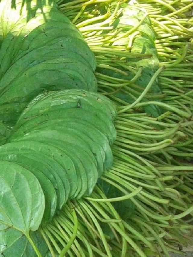 ভাতের পর খান এই একটি পাতা, ঝলকাবে যৌবন, খেলা হবে আপনার জীবনে