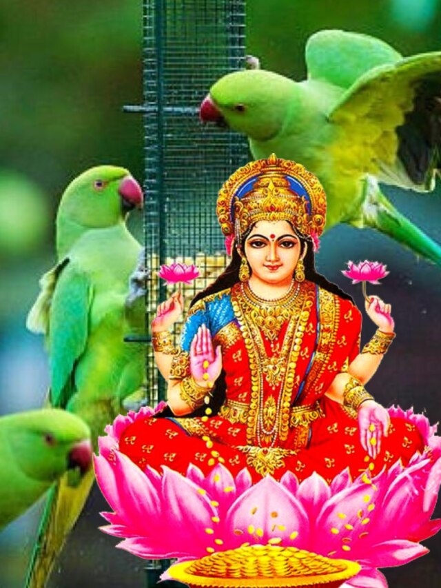 এই ৫ পশু-পাখি লক্ষ্মীর রূপ, বাড়িতে আসলে আয় বাড়ে
