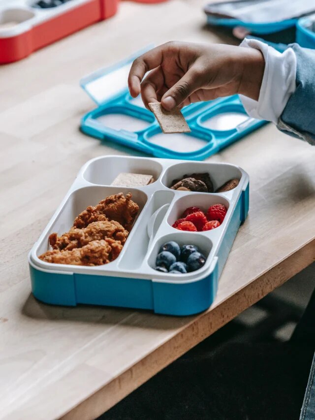 প্লাস্টিকের টিফিন বক্সে খাবার নিয়ে যাচ্ছেন? যা যা ক্ষতি হচ্ছে