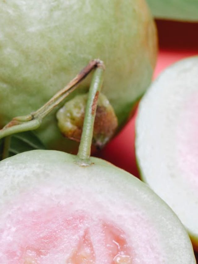 পেয়ারা উপকারী, কিছু মানুষের জন্য ততটাই মারাত্মক