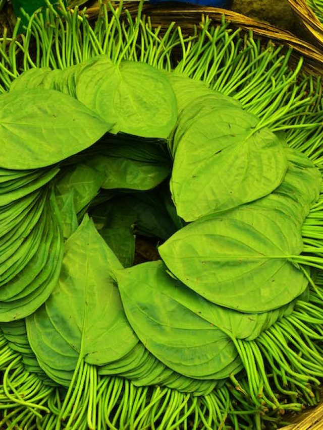 সংসারে অশান্তি, কাজে বাধা? সব সমস্যার সমাধান রয়েছে পানে