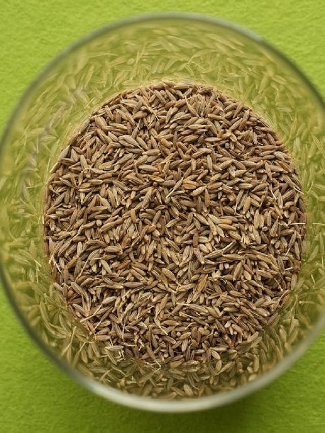 বেশি জিরা খেলে বিরাট ক্ষতি হতে পারে স্বাস্থ্যের