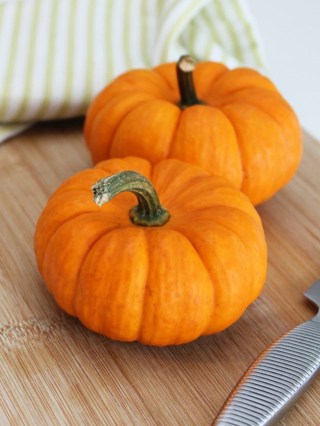 বাড়িতে কুমড়ো গাছ থাকা শুভ নাকি অশুভ? জেনে রাখুন বাস্তু কী বলছে...