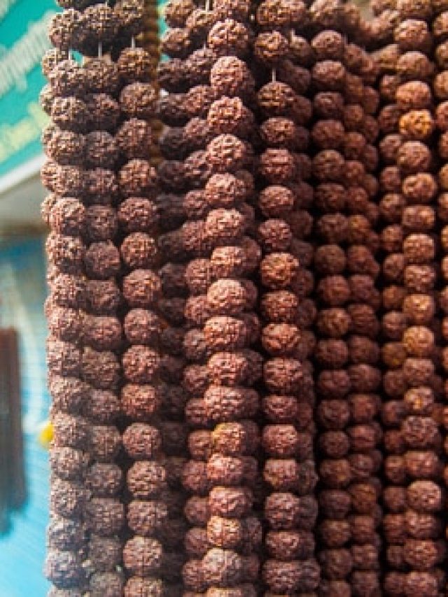 অনলাইনে সহজলভ্য রুদ্রাক্ষ! কীভাবে চিনবেন আসল না নকল?