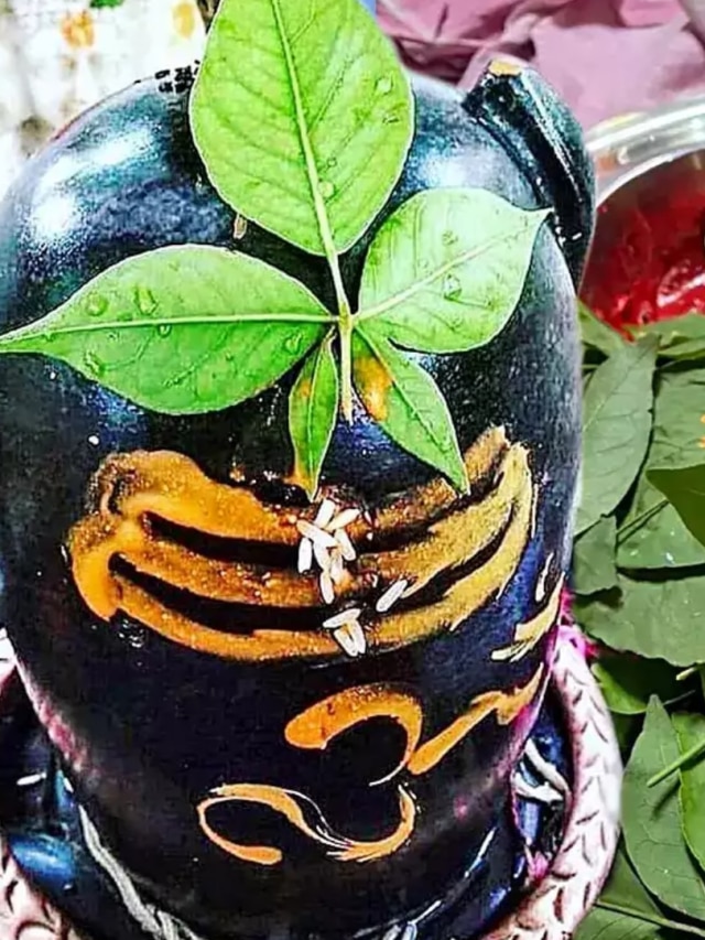 শিবলিঙ্গে বেলপাতা অর্পণের এই নিয়ম মানলেই ইচ্ছাপূরণ