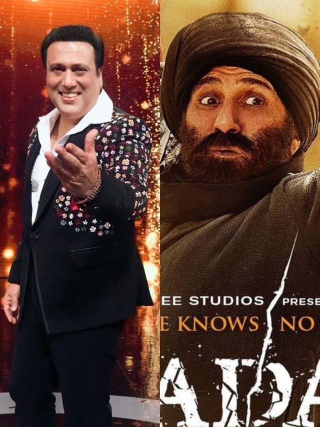 सनी देओल नहीं गोविंदा को मिला था तारा सिंह का रोल? 'गदर' में ये एक्ट्रेस होती सकीना