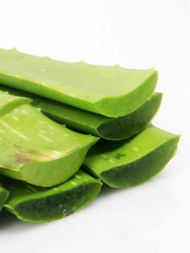 এই ১ জিনিসে দূর হবে নানা সমস্যা, কমবে ওজন