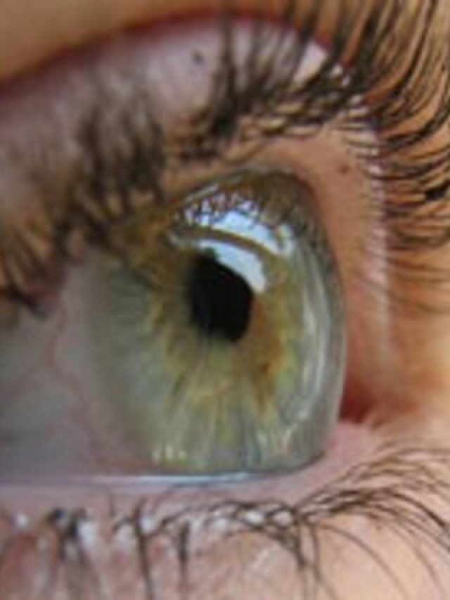 চোখ ঝাপসা লাগছে? চশমা লাগবে না এই জিনিস খেলে