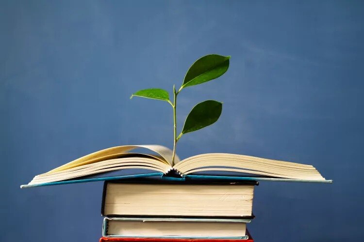 10 Must-Read Environmental Books