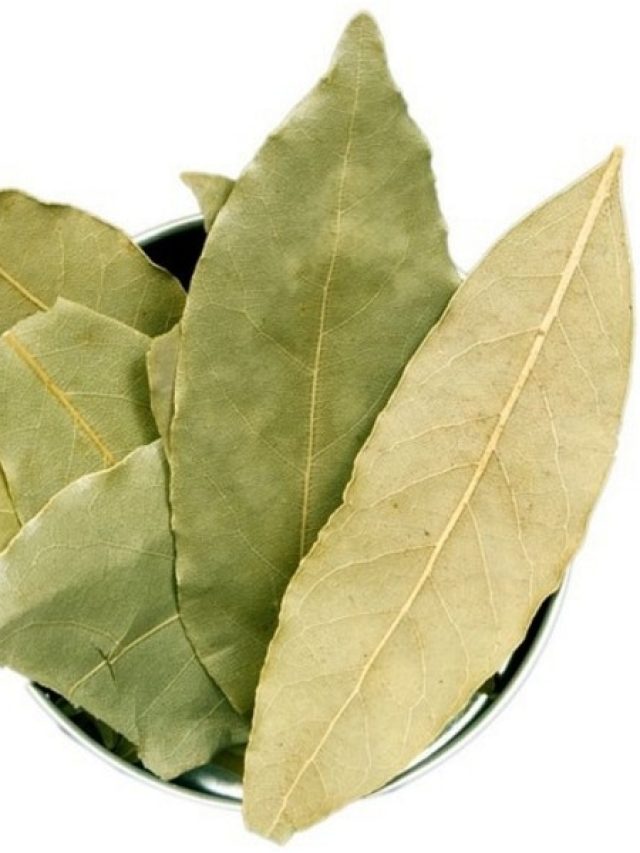 তেজপাতা খেলে পাবেন এই ৫ রোগ থেকে মুক্তি