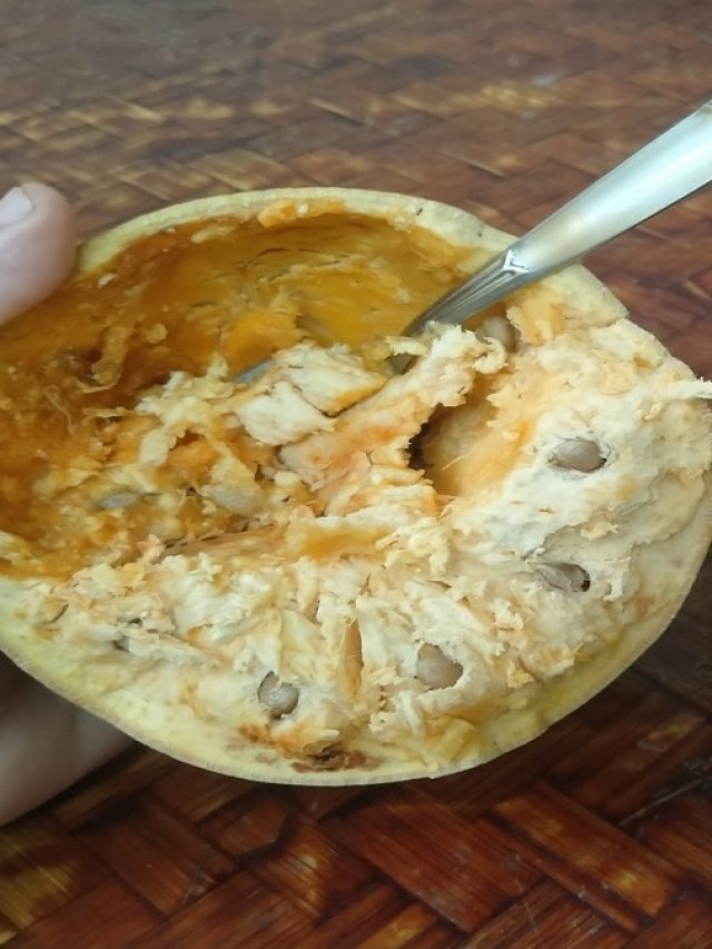 শুধু পুজোর কাজে নয়, বেল শরীরে জন্যেও উপকারী