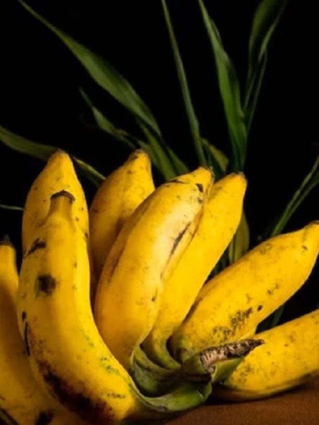 সকালে খালি পেটে কলা খাওয়া ভাল না খারাপ?