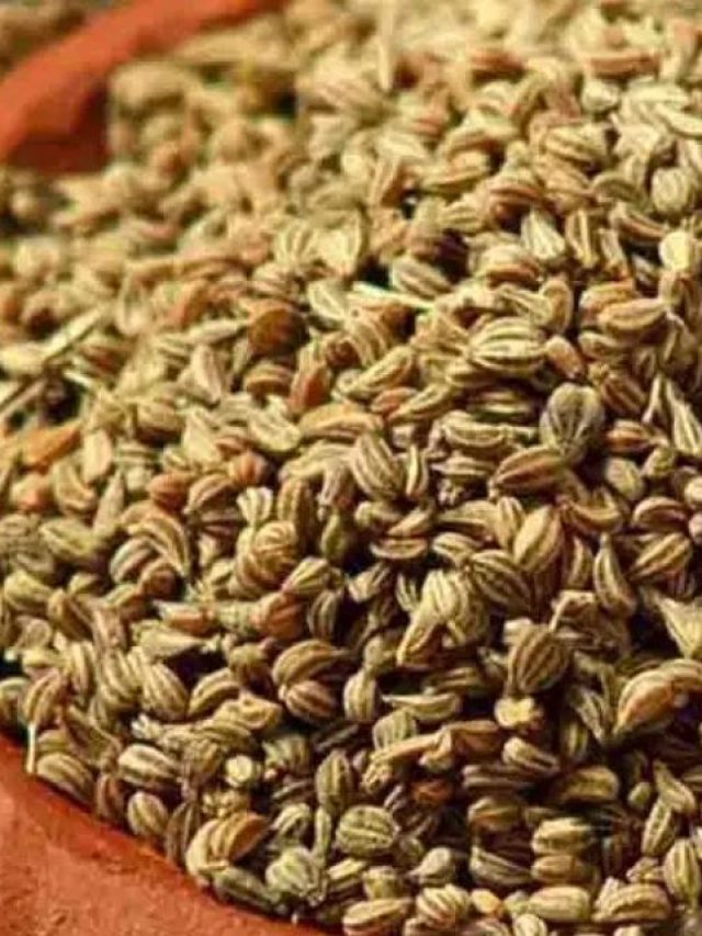 বেশি জোয়ান খাওয়া কি শরীরের পক্ষে ক্ষতিকর?