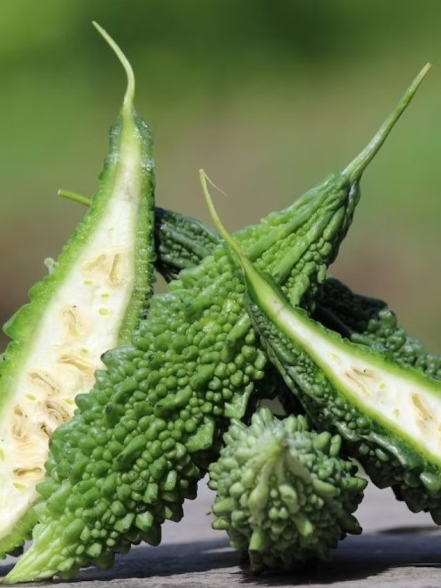 তেতোর জন্য উচ্ছে-করলা  খান না? এই টোটকাই কমাবে তিতকুটে ভাব