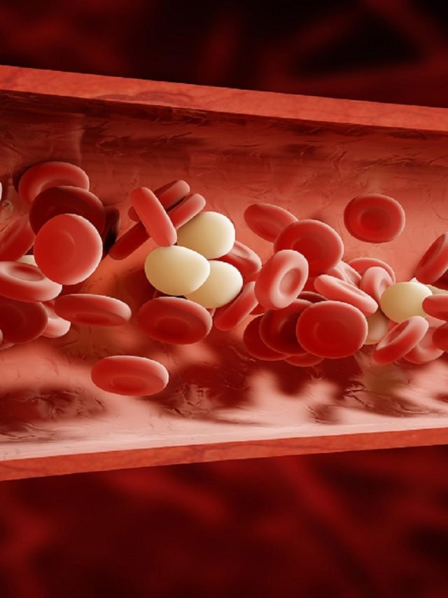 শরীর থেকে বেরিয়ে যাবে বদরক্ত, এই ৫ খাবার শুদ্ধ করে রক্তকে