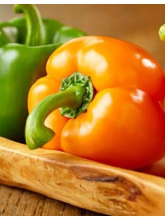 বাড়ির টবেই হবে পেঁয়াজ-ক্যাপসিকাম, কীভাবে ফলাবেন?