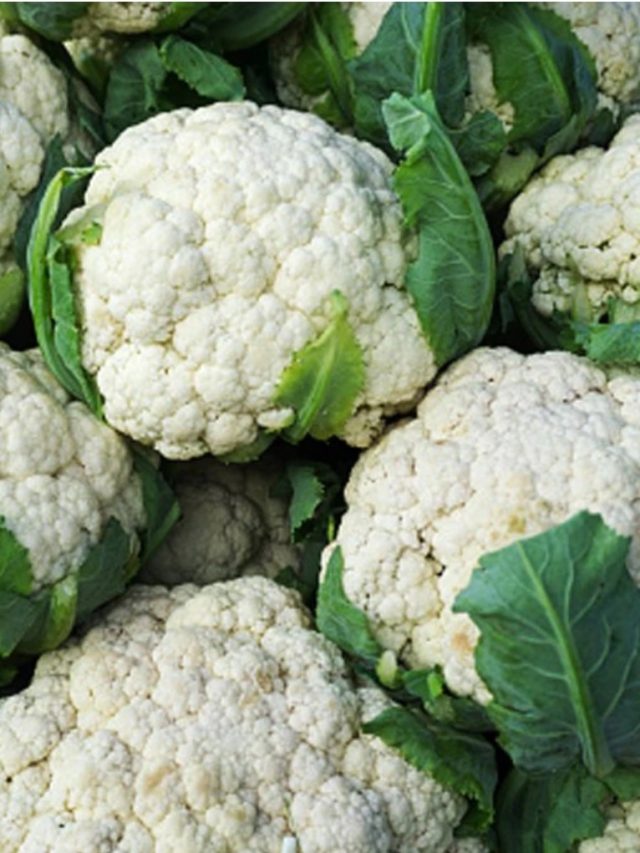 ফুলকপির এত গুণ! আজই খাওয়া শুরু করুন