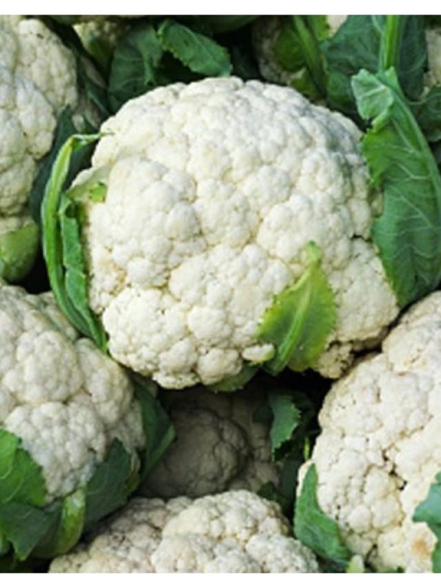 ফুলকপি খেলেই মরবেন, শীতকালে ভুলে যান এই সবজিকে