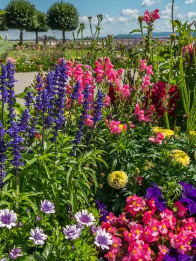 সুগন্ধে ম ম করবে বাড়ি, যে গাছগুলি বাগানে থাকলে...