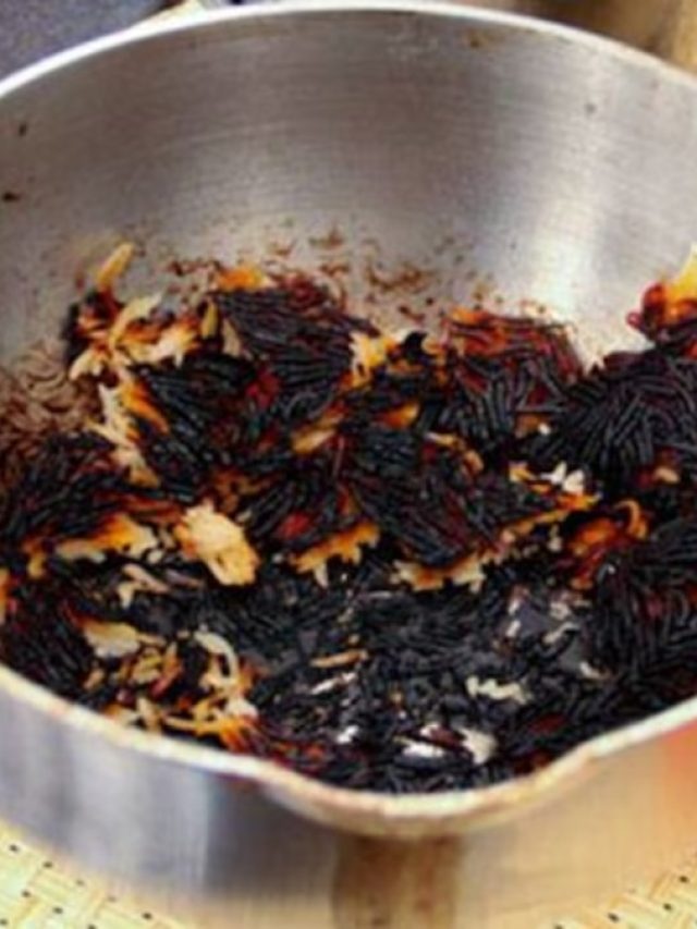 অন্যমনস্ক হতেই রান্না পুড়ে গেছে? এভাবে সহজেই গন্ধ হবে দূর