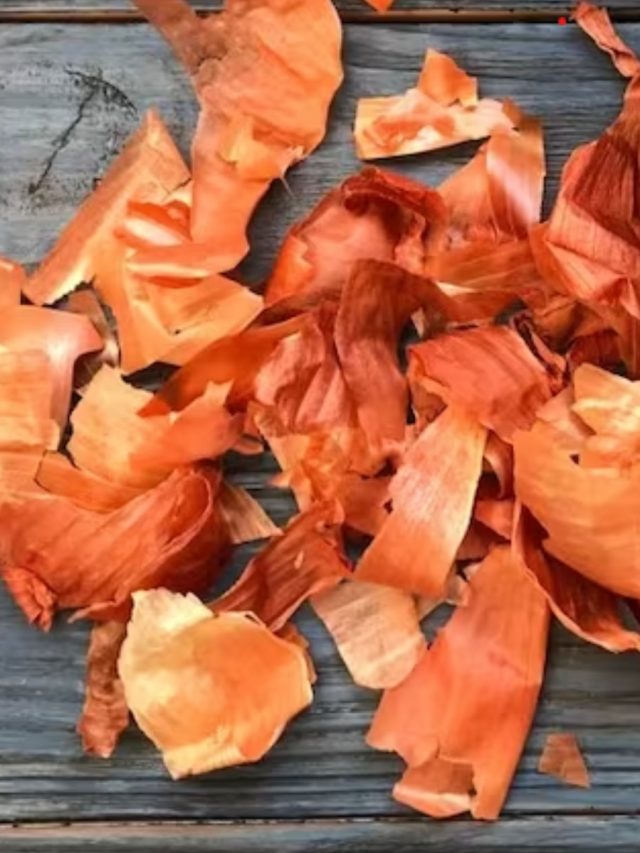 পেঁয়াজের খোসা না ফেলে এভাবে কাজে লাগান, বাগানের গাছের খাদ্য হবে