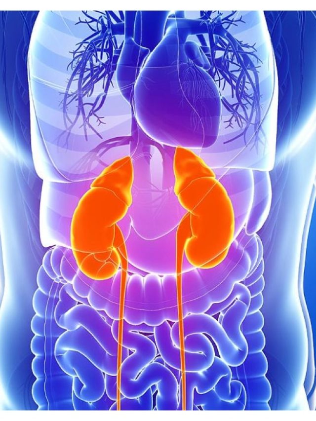 কিডনিকে ক্লিন করে দেয় এই সস্তার পাতা, বাড়িতেই হয়ে যাবে