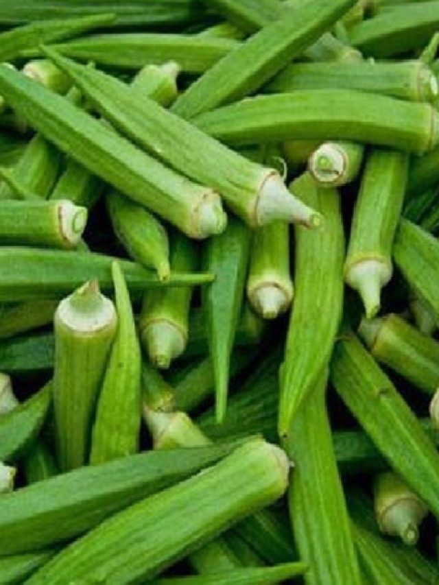 ঢেঁড়স দীর্ঘদিন ভালো রাখার উপায়