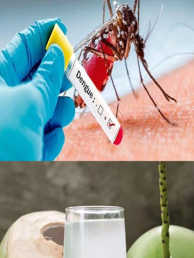ডেঙ্গি থেকে বাঁচতে খেতে হবে ডাবের জল ?