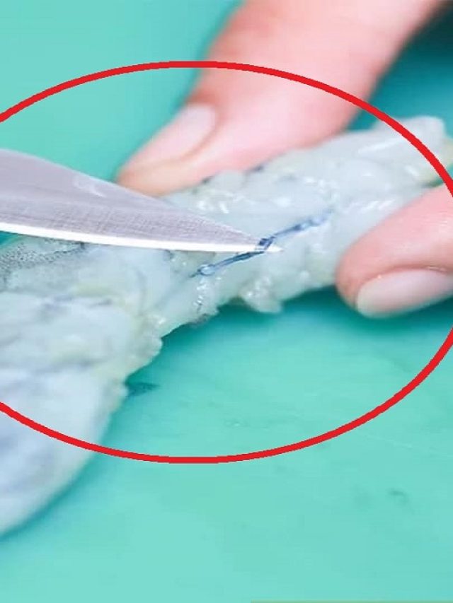 চিংড়ির কালো শিরা  ফেলে দেওয়া কেন জরুরি?