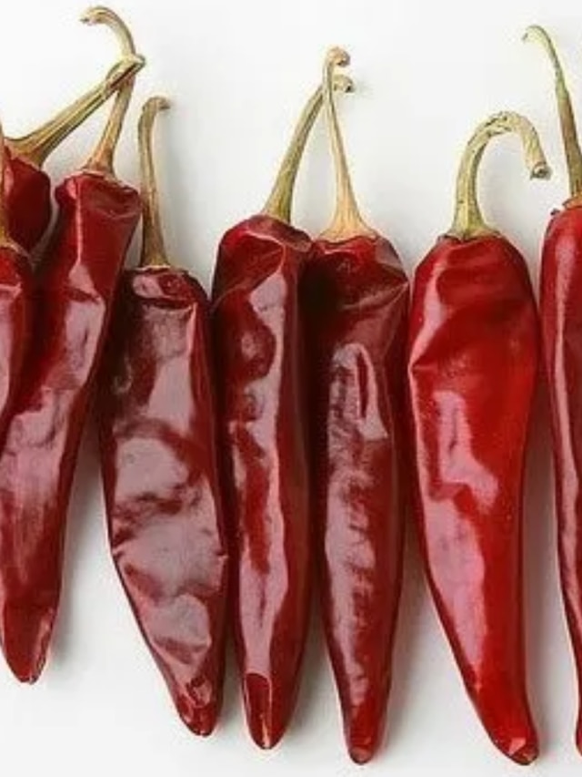 ৭টি শুকনো লঙ্কা দিয়ে করুন এই টোটকা, ভাগ্য হীরের মতো চমকাবে