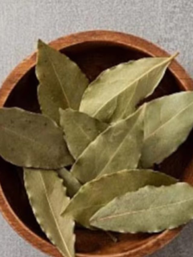 টাকা থাকছে না? নেই গৃহ সুখ? তেজপাতার এই তন্ত্র টোটকায় ফেরান ভাগ্য