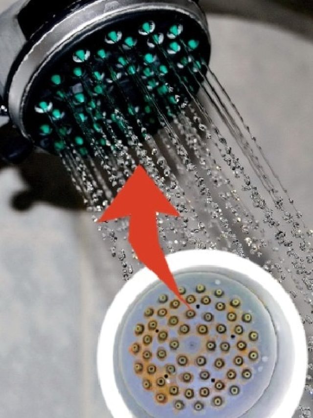 নোংরা-আয়রন পড়ে শাওয়ার বন্ধ ? এসব উপায়েই হবে পরিষ্কার