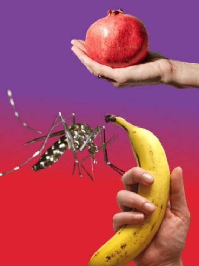 ডেঙ্গিতে মহৌষধ এই ৫ ফল, জানেন?