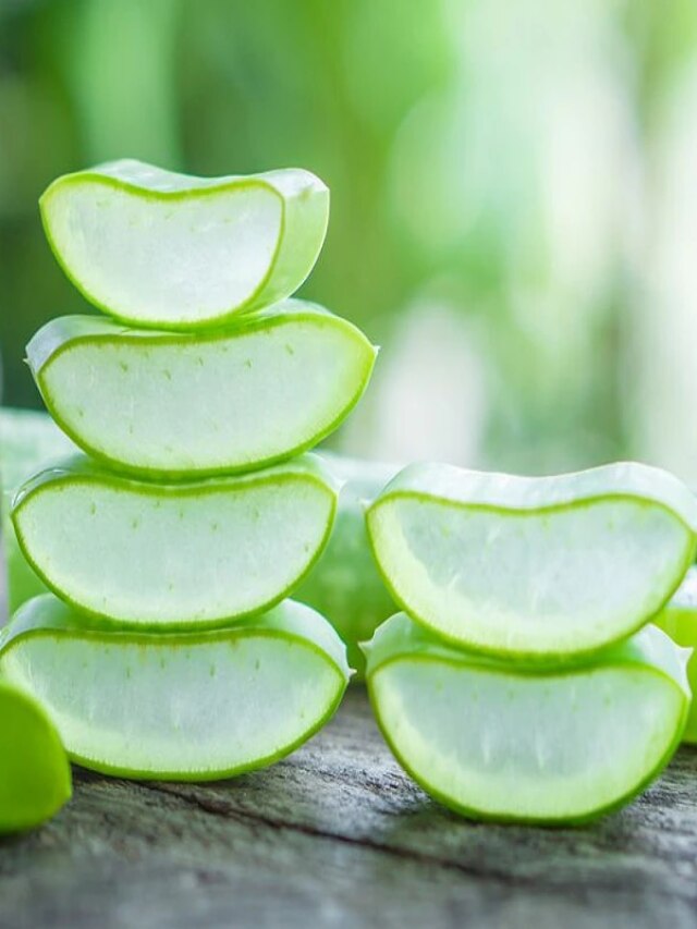 অ্যালোভেরার সঙ্গে খান এই জিনিস, ১৫ দিনে কমবে ওজন