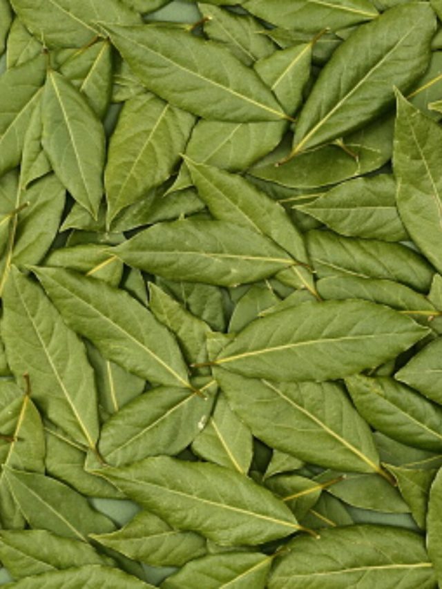 শোওয়ার আগে এখানে লিখে রাখুন মনের ইচ্ছা, সকালেই খেলা শুরু