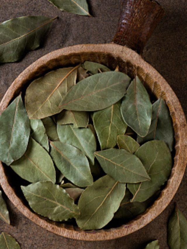 ৫টি তেজপাতা দিয়ে করুন এই কাজ, 'অভাব' জানলা দিয়ে পালাবে