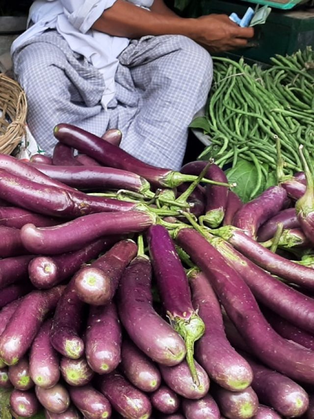 বেগুন কেনার বিজ্ঞানসম্মত পদ্ধতি! সেরাটা চিনুন