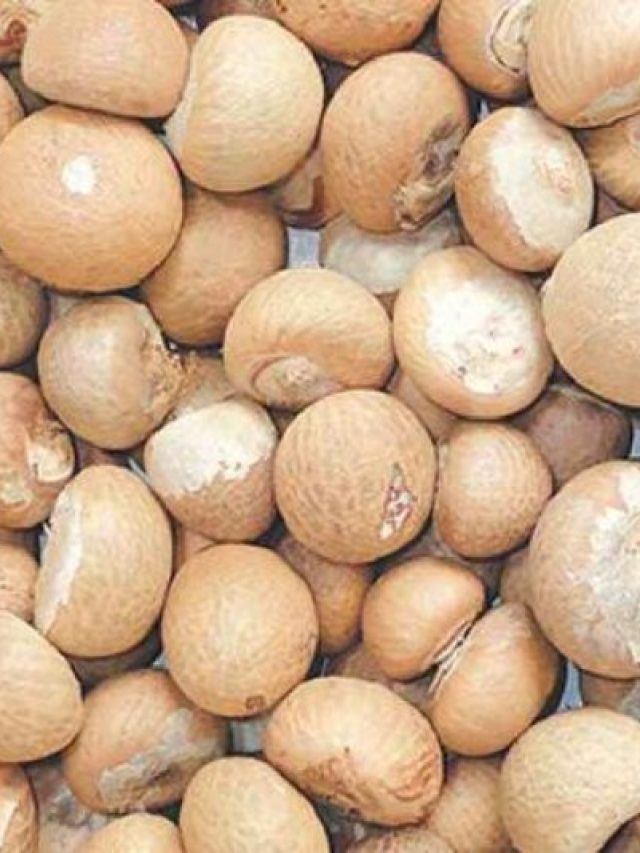 'সস্তা'র সুপারিরও অনেক গুণ, সারায় ৭ রোগ