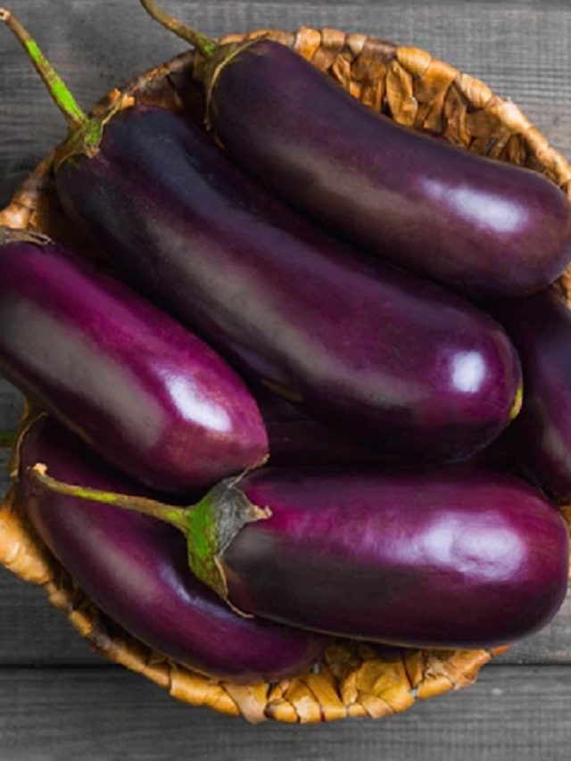 পোড়া-ভাজা-ভর্তা কিচ্ছুটি চলবে না, এই মানুষদের জন্য বেগুল বিষের সমান