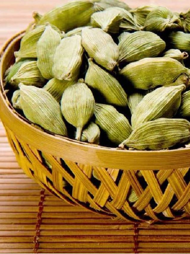 এক টুকরো এলাচ করবে কামাল, কমবে শরীরের হাজার সমস্যা