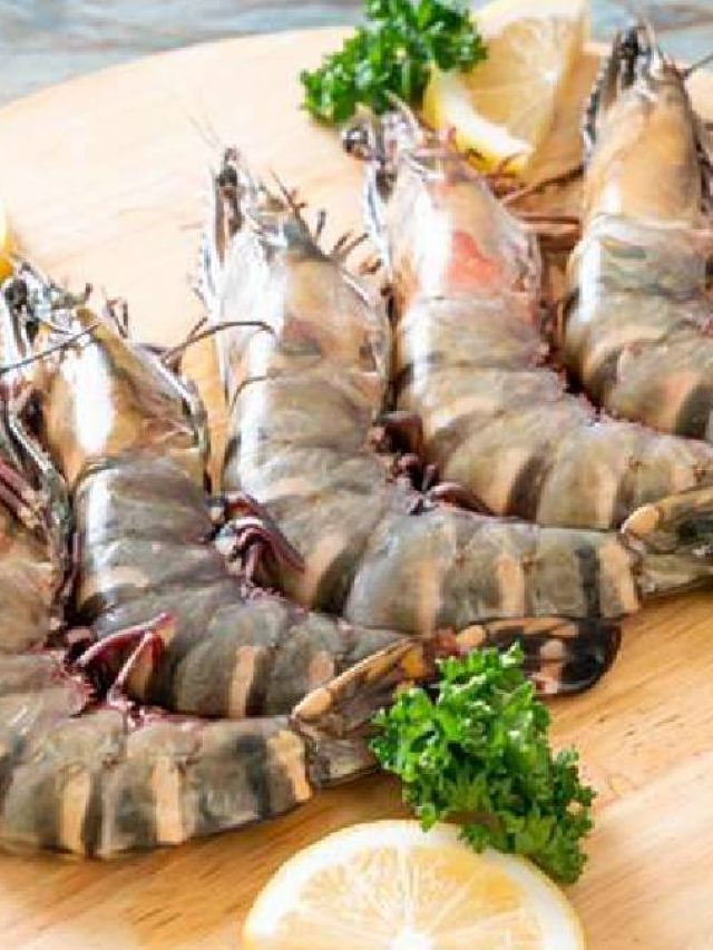 মালাইকারি তো অনেক হল, বর্ষায় বানিয়ে নিন কুচো চিংড়ির ভর্তা