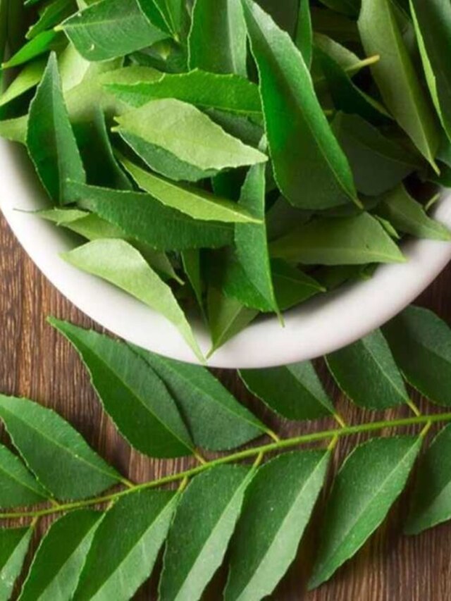 সকালে খালি পেটে এই গাছের ৩টি পাতা, চুল পড়া- সুগার থেকে মুক্তি