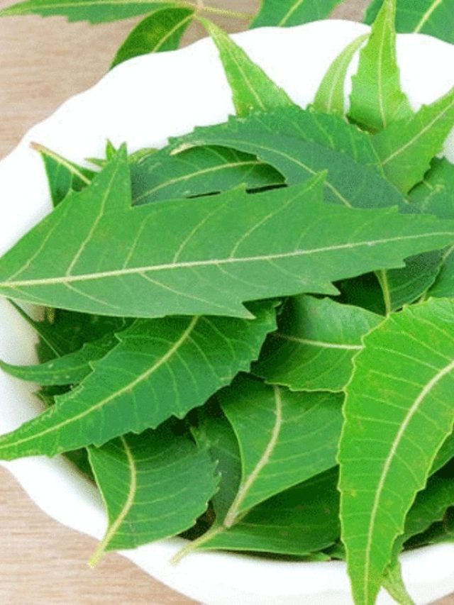 ত্বকের যত্নে কী কাজে লাগে নিমপাতা?