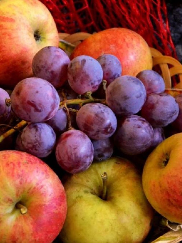 শীতে রোজ খান ৫ টাকার এই ফল, সর্দি ছুঁতেও পারবে না